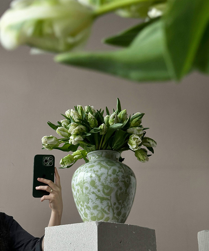 Французские тюльпаны супер Перрот бело-зелёные, поштучно