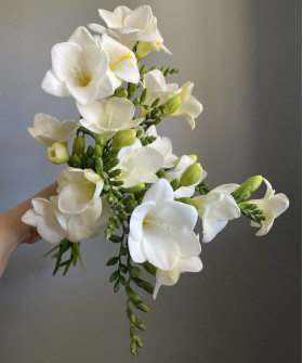 Фрезия белая, поштучно