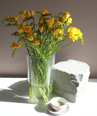 Фрезия жёлтая, поштучно