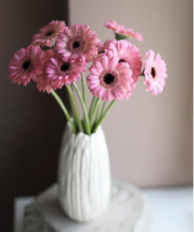 Гермини Бентли розовые