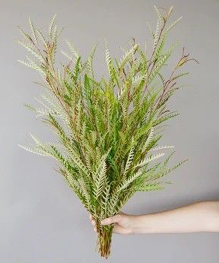 Гривеллея, поштучно