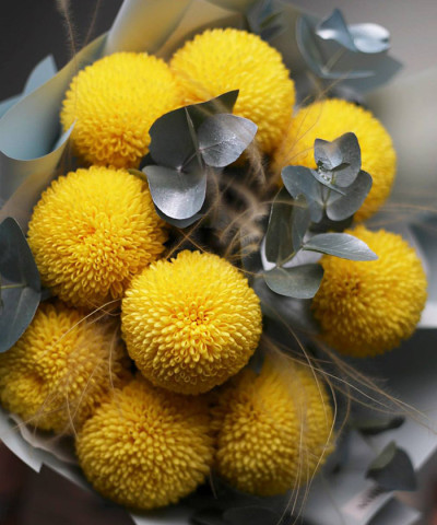 Хризантема жёлтая одноголовая