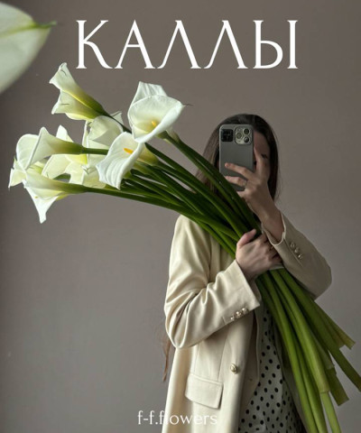 Каллы королевские белые Де ла пайкс, поштучно