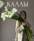 Каллы королевские белые Де ла пайкс, поштучно
