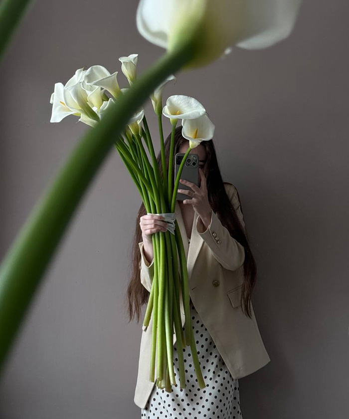 Каллы королевские белые Де ла пайкс, поштучно