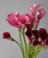 Каллы розовые в ассортименте, поштучно