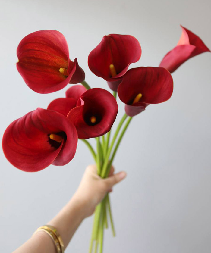 Каллы розовые в ассортименте, поштучно