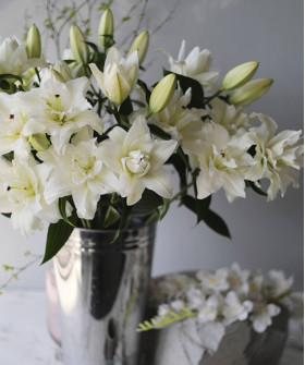 Королевская махровая лилия белая