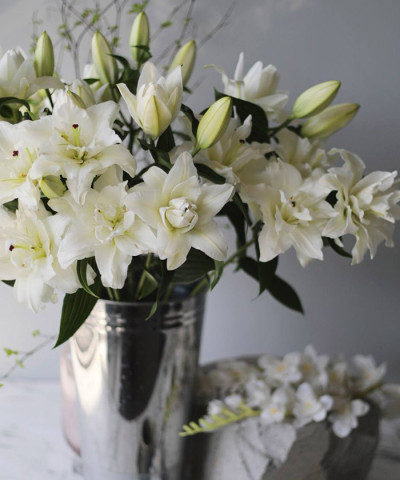 Королевская махровая лилия белая