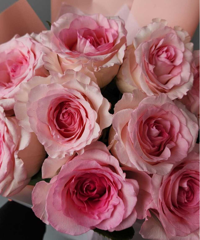 Роза Мандала, поштучно