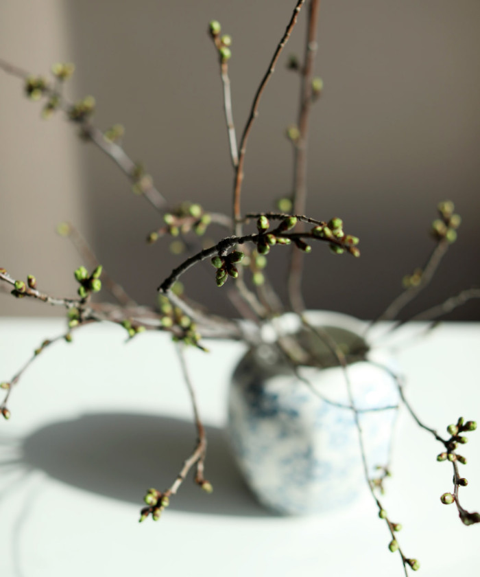 Ветка цветущая Прунус, поштучно