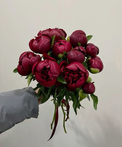 Пионы Ред Шарм, поштучно