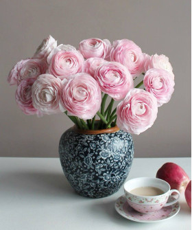 Ранункулюсы розовые, поштучно