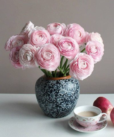 Ранункулюсы розовые, поштучно