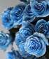 Роза голубая Тинтед скай блу, поштучно