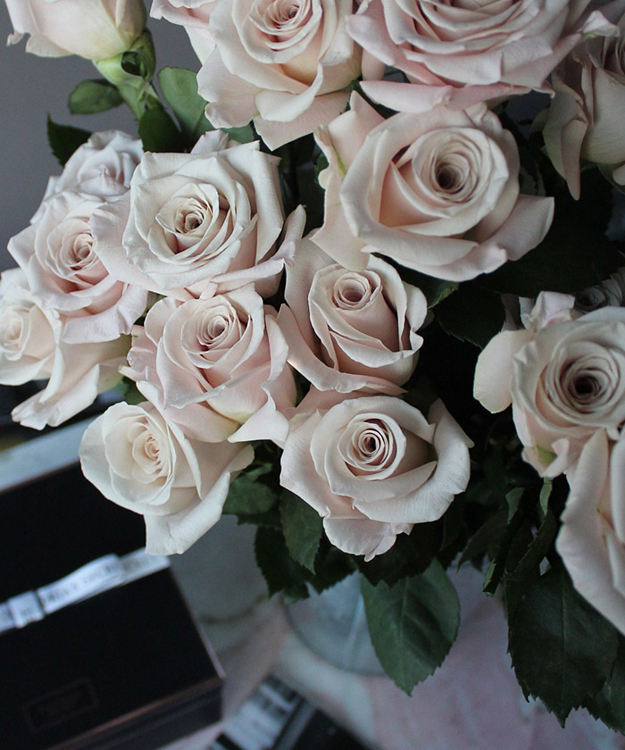 Роза Мента Эквадор, поштучно