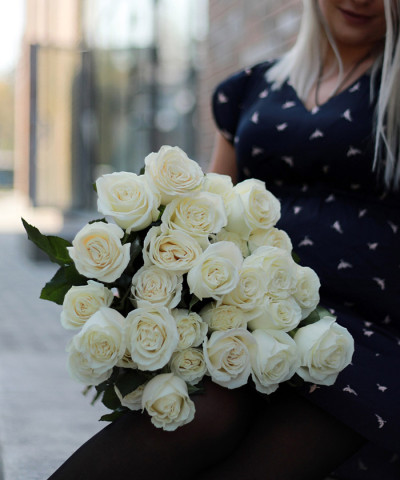 Роза Мондиаль