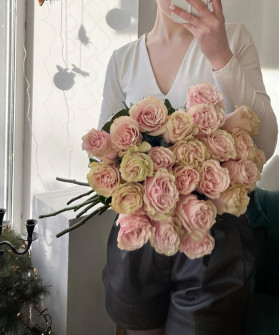 Роза Пинк Мондиаль