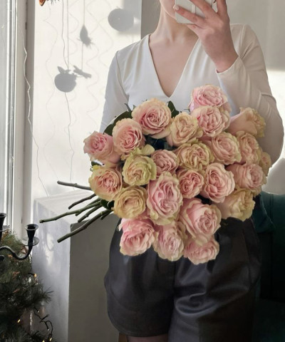 Роза Пинк Мондиаль