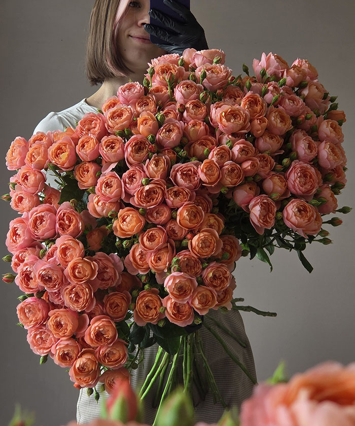 Роза пионовидная кустовая Джульетта экстра, поштучно