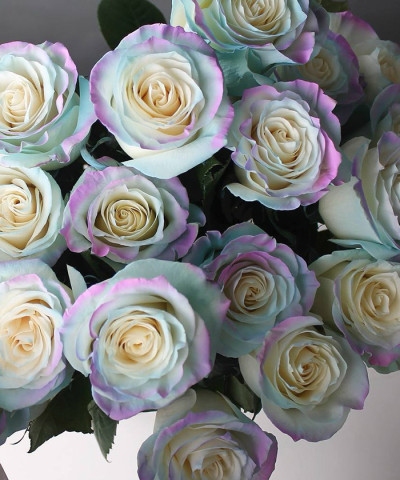 Роза Тинтед Юникорн, поштучно