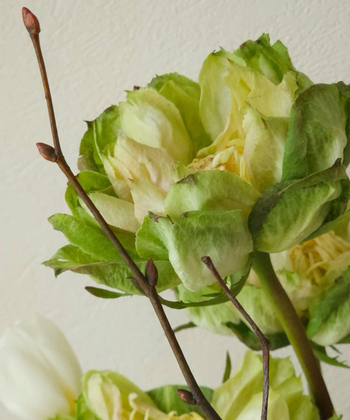 Роза Вегги, поштучно