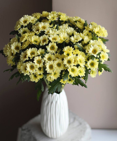 Сантини Росси крем хризантема