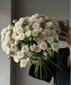 Софи кустовая кремовая роза, поштучно