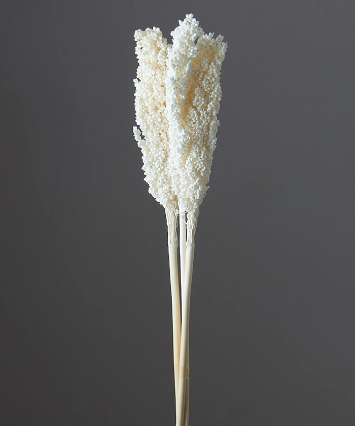 Сорго, сухоцвет стабилизированный, поштучно