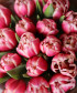 Тюльпаны Коламбус розовые, поштучно