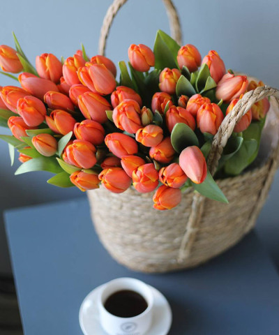 Тюльпаны оранжевые, в ассортименте