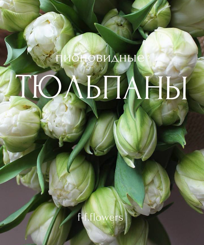 Тюльпаны пионовидные махровые Дюшес, белые, поштучно