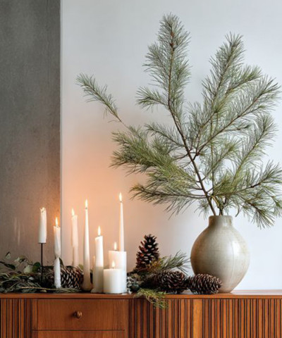 Ветки сосны Pinus, поштучно