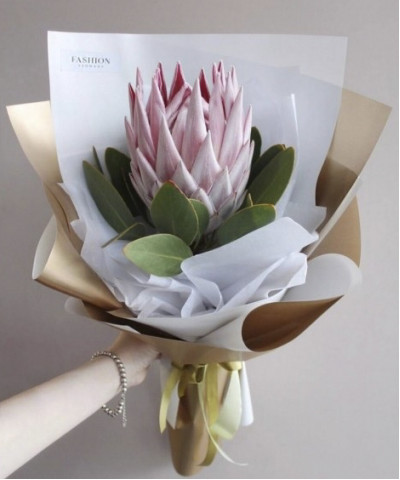 Королевская протея №4212