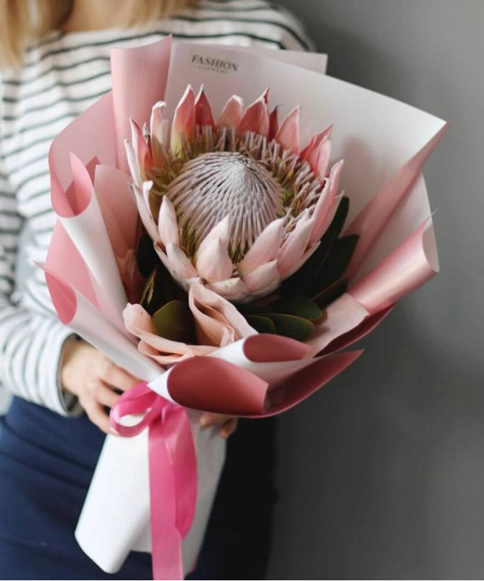 Нежная протея №3950