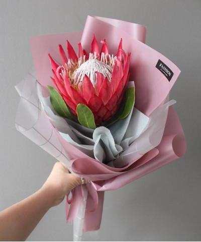 Королевская протея №2667