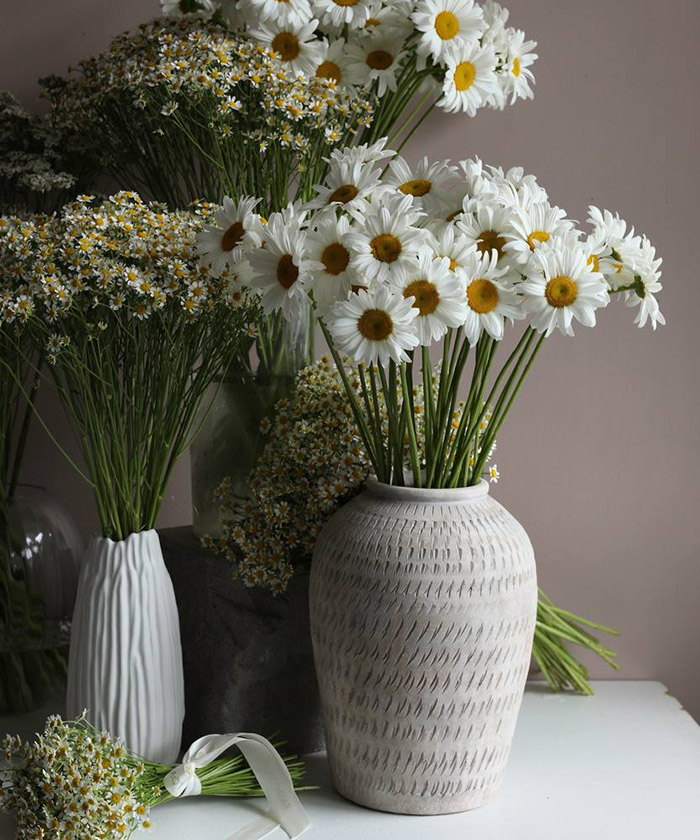 Ромашка леукантемум, поштучно