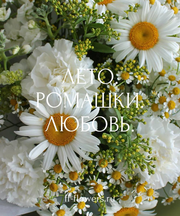 Ромашки и танацетум в букете 