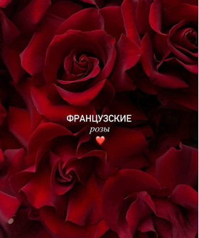 Французские красные розы