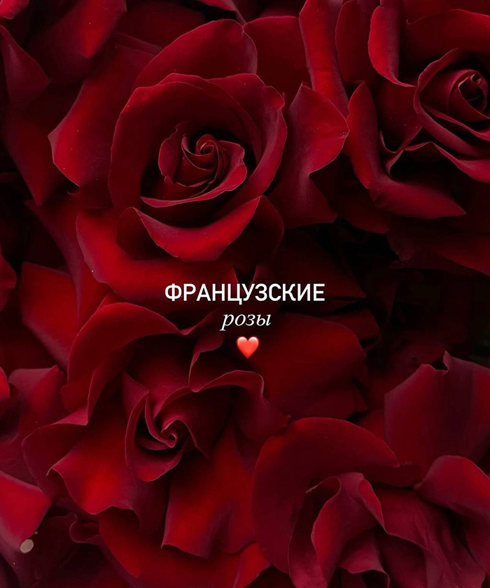 Французские красные розы, поштучно