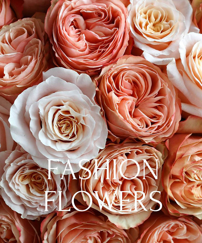 25 персиковых роз Шиммер и Кахала №4528