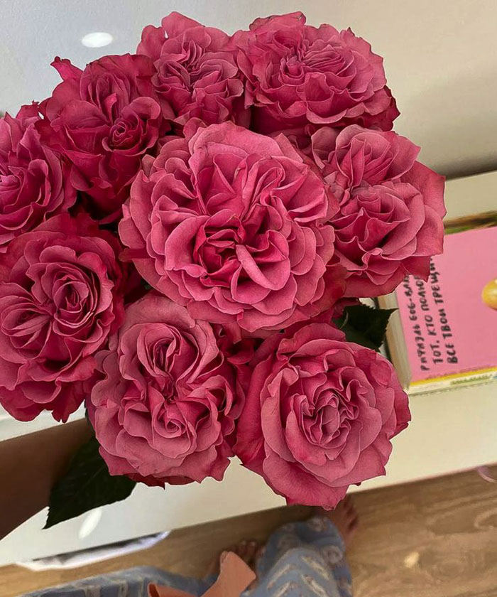 Роза фиолетовая Кантри блюз, поштучно