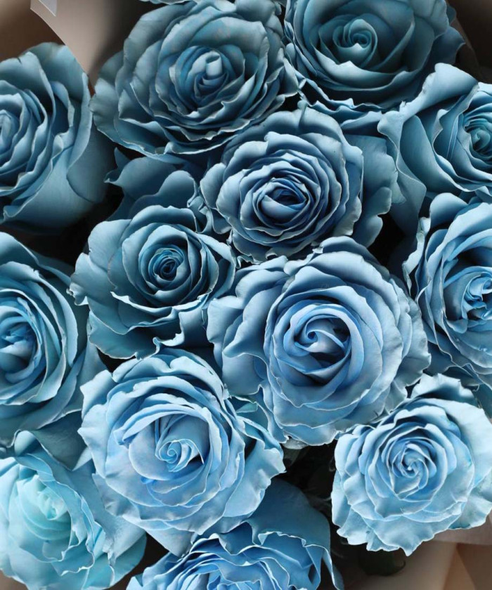 15 голубых роз Скай блу в букете 