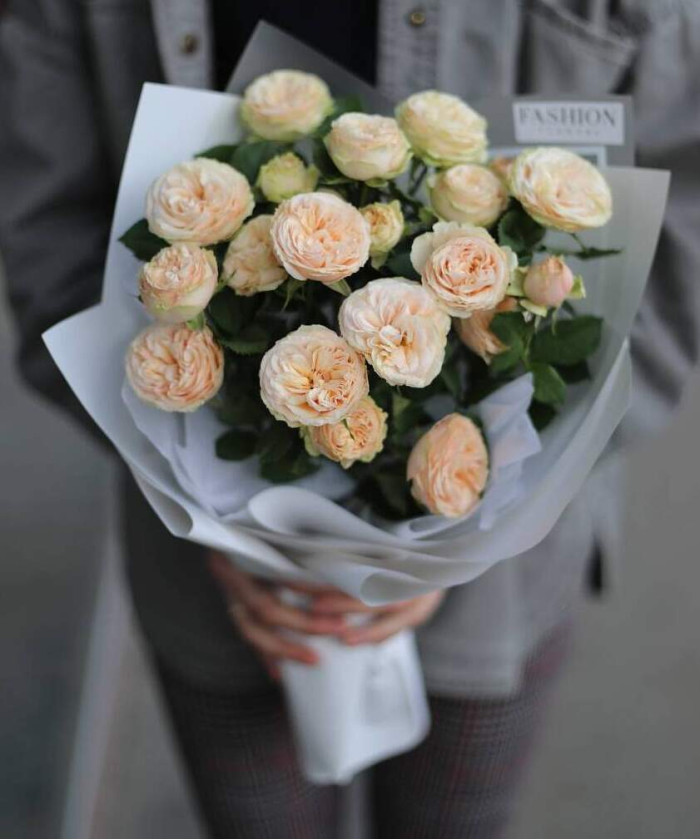 3 кустовые пионовидные розы Джентл Трендсеттер №6522