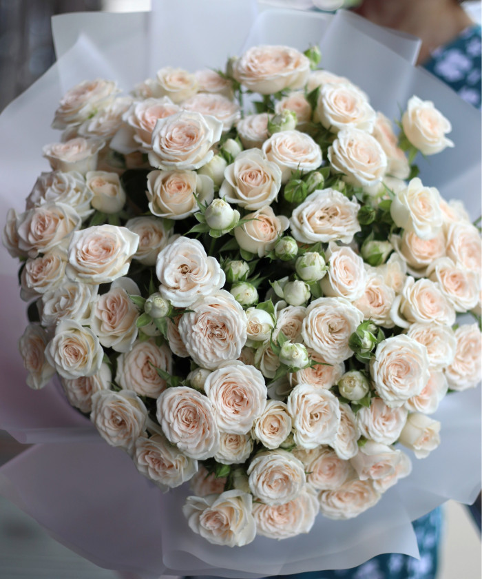 21 кремовая кустовая роза Софи №8743