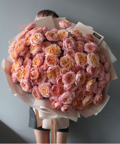 31 роскошная пионовидная персиковая роза Джульетта №2577