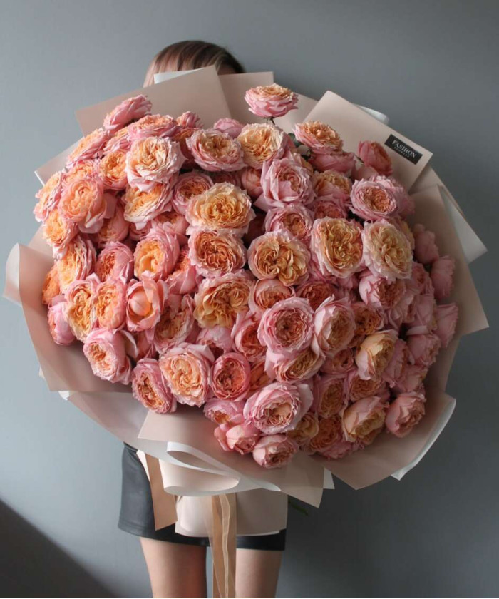 31 роскошная пионовидная персиковая роза Джульетта №2577