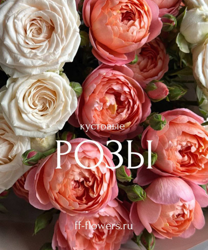 5 пионовидных кустовых роз Джульетта и Софи №7886