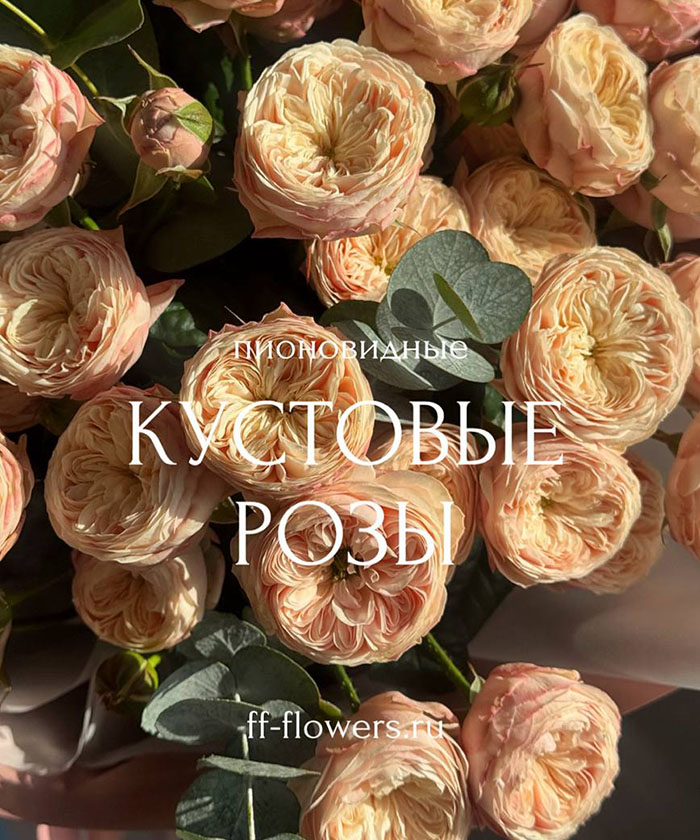 9 пионовидных кустовых роз Роял Блаш с эвкалиптом №8433