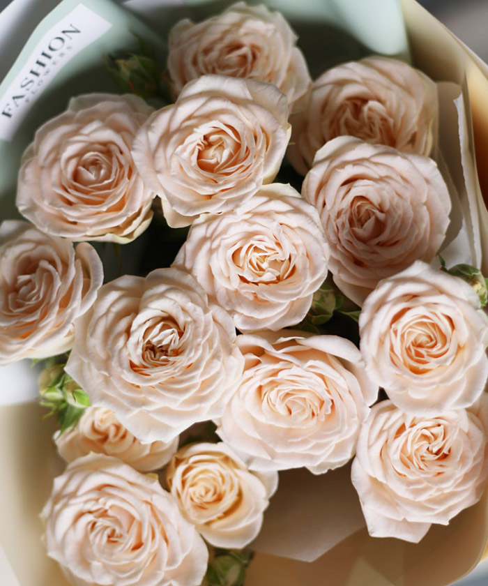 3 кремовые кустовые розы Софи №9437